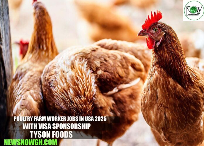 Poultry Farm Worker Jobs in USA 2025 with Visa Sponsorship | Tyson Foods