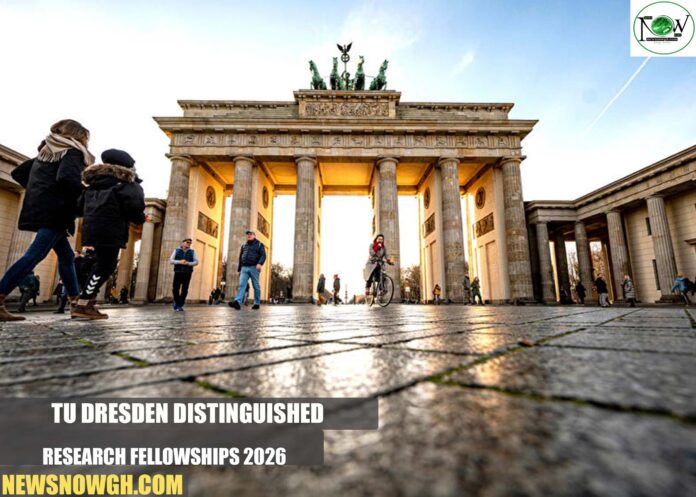 TU Dresden Distinguished Research Fellowships
