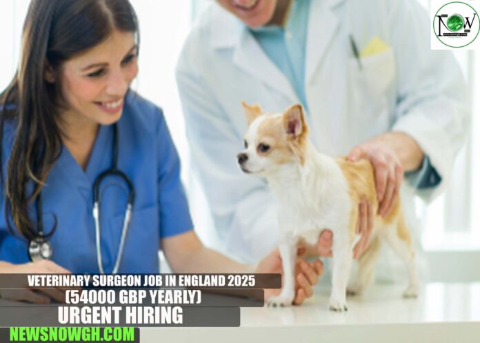 Veterinary Surgeon Job in England 2025 | Urgent Hiring