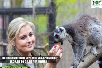 Zoo Jobs in Australia 2025 with Visa Sponsorship