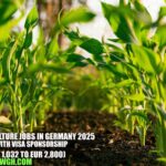 Agriculture Jobs in Germany 2025 with Visa Sponsorship