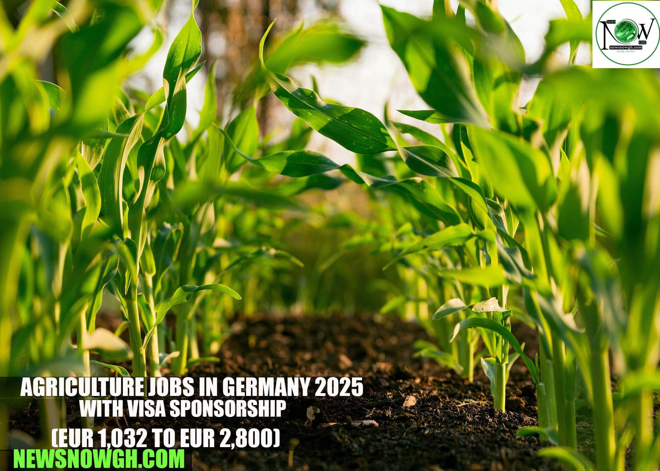 Agriculture Jobs in Germany 2025 with Visa Sponsorship