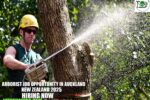Arborist Job Opportunity in Auckland, New Zealand 2025 | Treescape Jobs