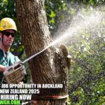 Arborist Job Opportunity in Auckland, New Zealand 2025 | Treescape Jobs