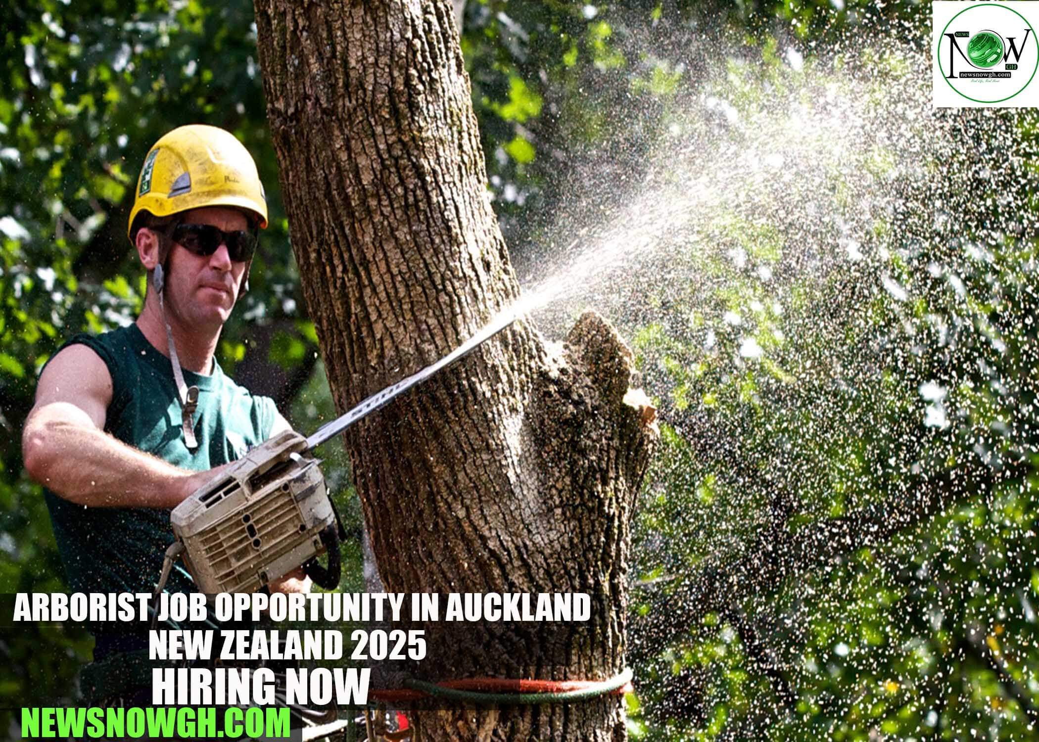 Arborist Job Opportunity in Auckland, New Zealand 2025 | Treescape Jobs