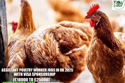 Assistant Poultry Worker Jobs in UK 2025 with Visa Sponsorship