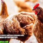 Australia Poultry Farm Visa-sponsored Jobs