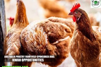 Australia Poultry Farm Visa-sponsored Jobs