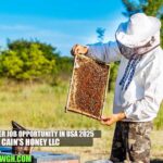 Beekeeper Job Opportunity in USA 2025 | Cain's Honey LLC