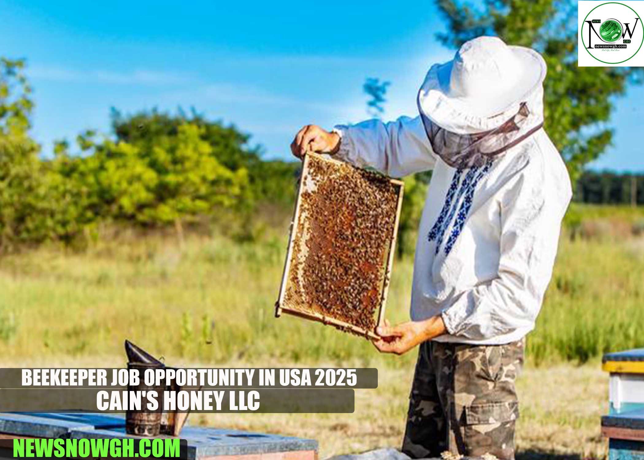 Beekeeper Job Opportunity in USA 2025 | Cain's Honey LLC