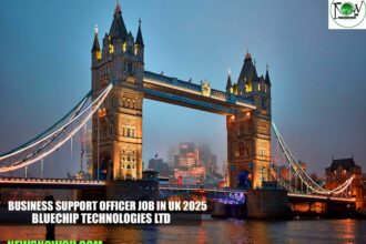 Business Support officer Job in UK 2025 | Bluechip Technologies Ltd