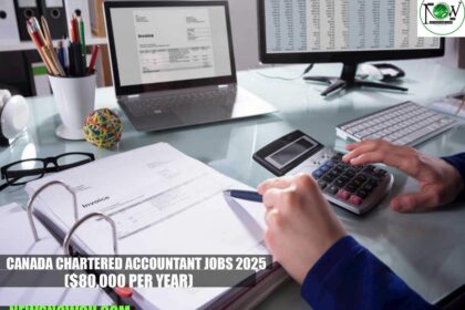 Canada Chartered Accountant Jobs 2025
