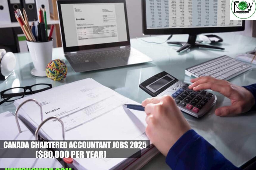 Canada Chartered Accountant Jobs 2025