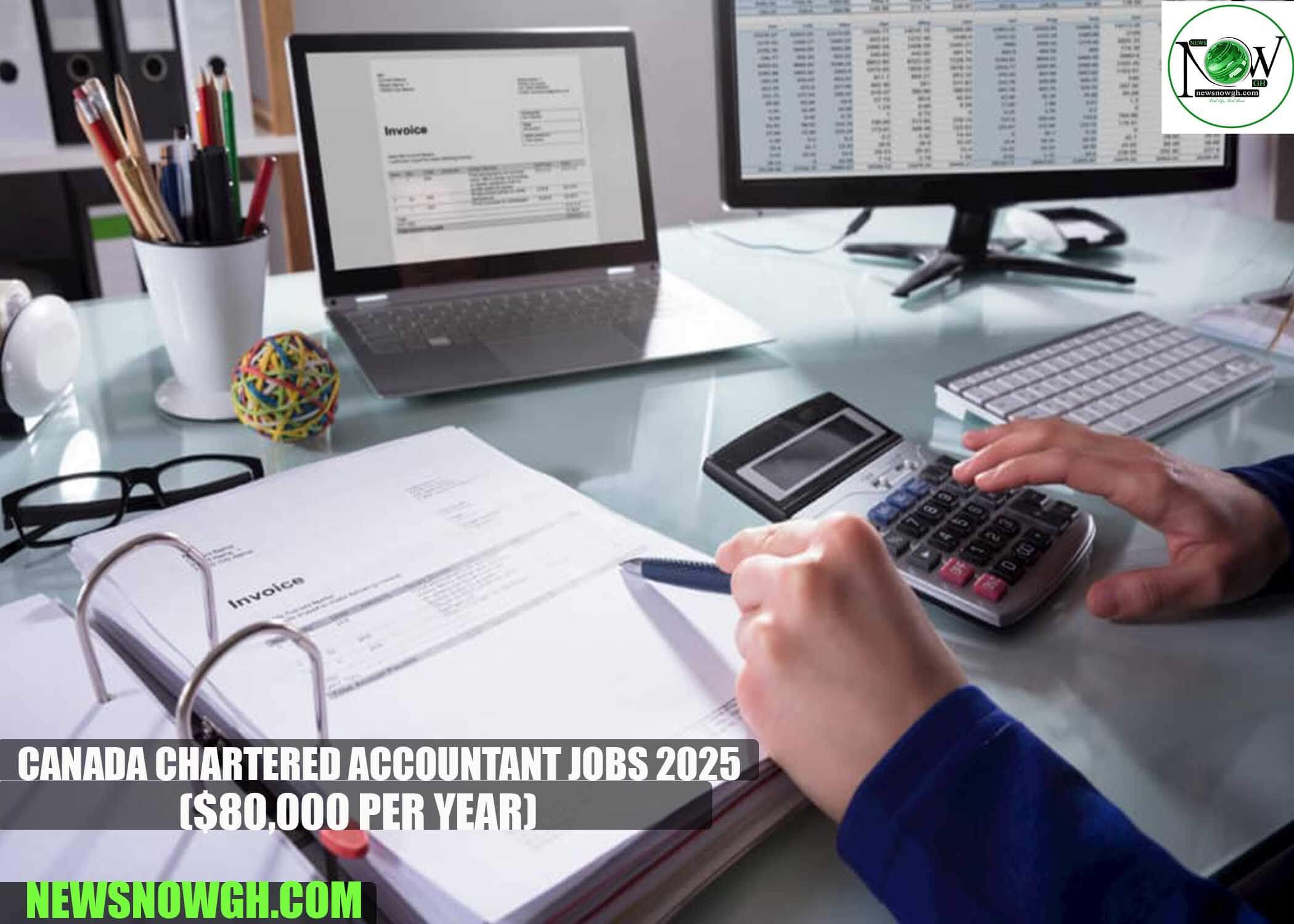 Canada Chartered Accountant Jobs 2025