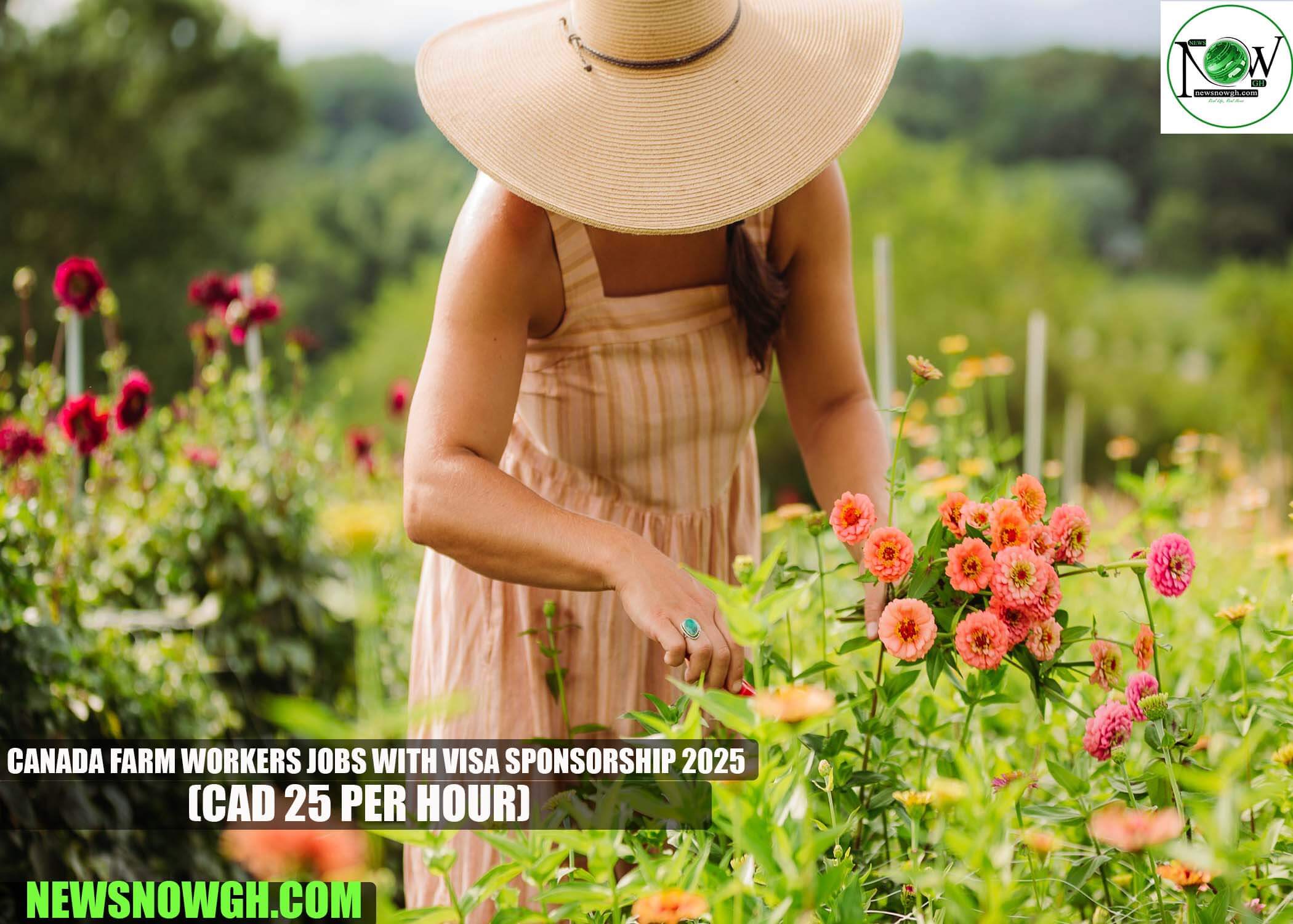 Canada Farm Workers Jobs with Visa Sponsorship 2025