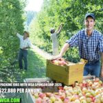 Canada Fruit Packing Jobs with Visa Sponsorship 2025