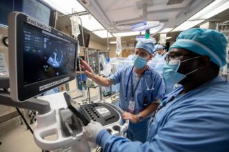 Cardiac Anaesthetist Specialist Job in New Zealand 2025