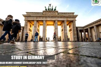 DAAD Helmut-Schmidt Scholarship