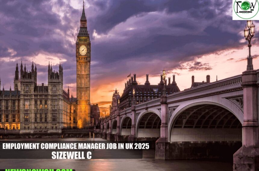 Employment Compliance Manager Job in UK 2025 | Sizewell C