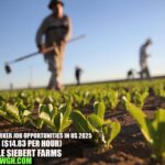 Farmworker Job Opportunities in US 2025 | Kyle Siebert Farms