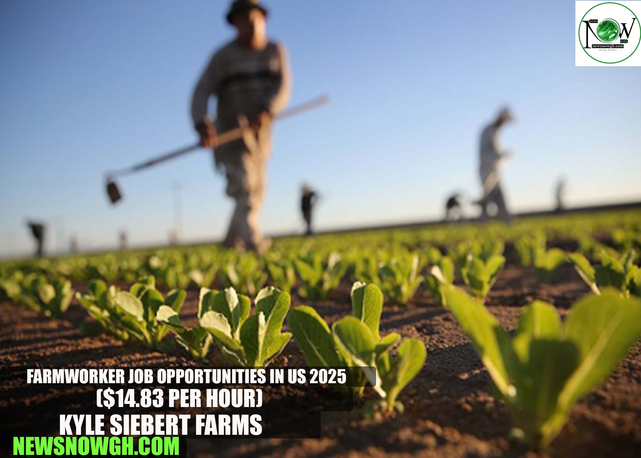 Farmworker Job Opportunities in US 2025 | Kyle Siebert Farms