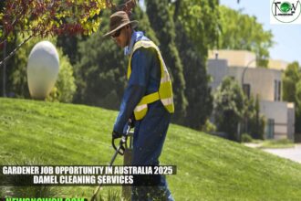 Gardener Job Opportunity in Australia 2025 | Damel Cleaning Services