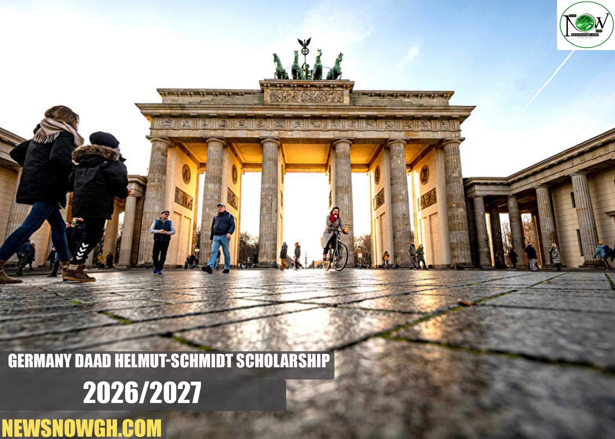 Germany DAAD Helmut-Schmidt Scholarship