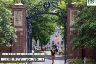 Harvard Global Health Institute Burke Fellowships