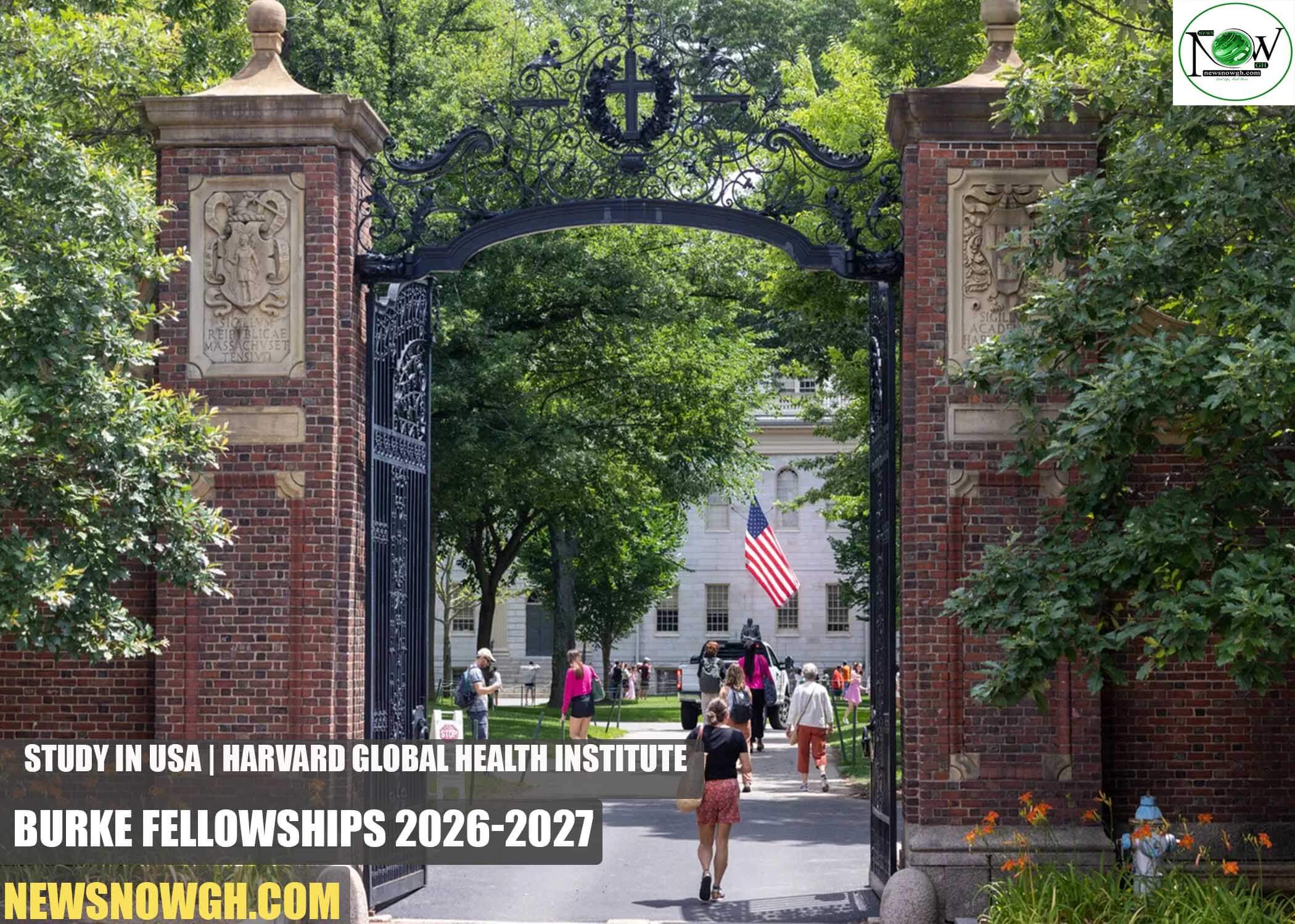 Harvard Global Health Institute Burke Fellowships