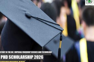 Imperial Vingroup Science and Technology PhD Scholarship