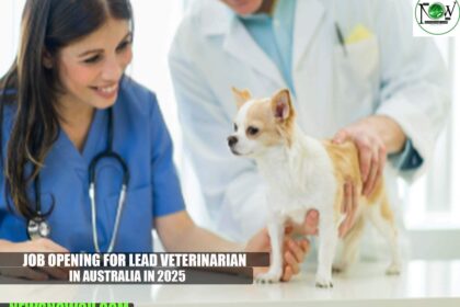 Job Opening for Lead Veterinarian