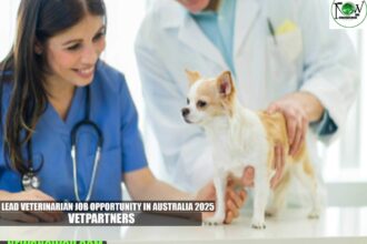 Lead Veterinarian Job Opportunity in Australia 2025 | VetPartners