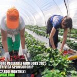 Luxembourg Vegetable Farm Jobs 2025