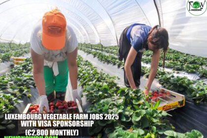Luxembourg Vegetable Farm Jobs 2025