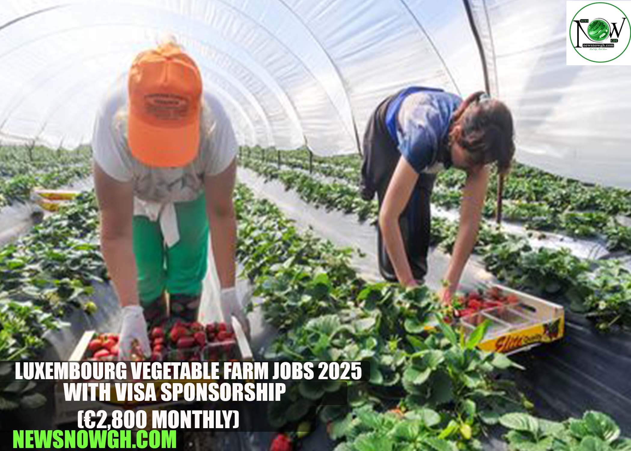 Luxembourg Vegetable Farm Jobs 2025