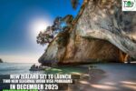 New Zealand Set to Launch Two New Seasonal Work Visa Programs in December 2025