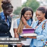 Pioneering Women in STEM Scholarships