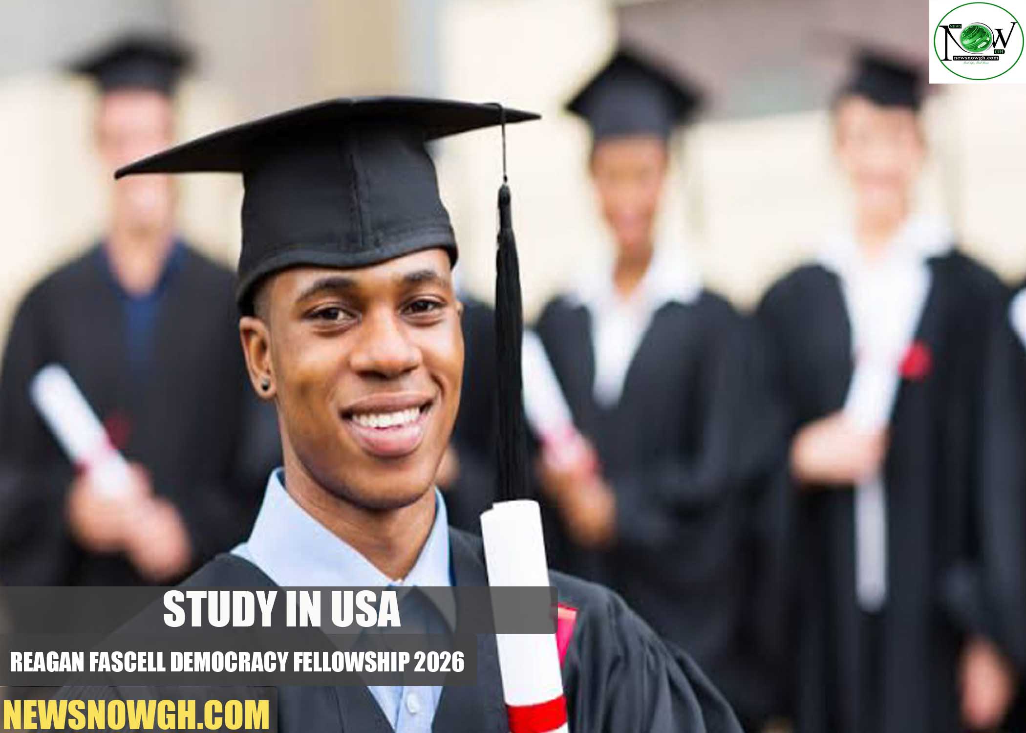 Reagan Fascell Democracy Fellowship