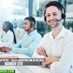 Sales Representative / Sales Executive Job in UK 2025 | Banoze Ltd