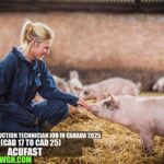 Swine Production Technician Job in Canada 2025 | AcuFast