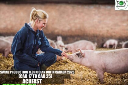 Swine Production Technician Job in Canada 2025 | AcuFast
