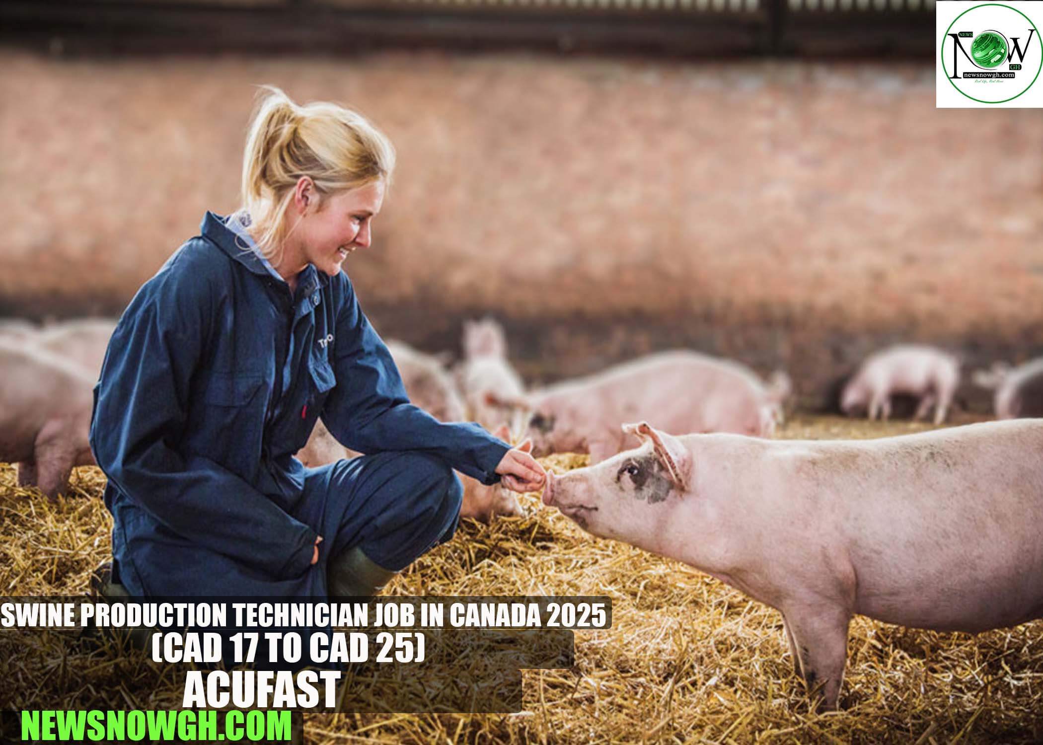 Swine Production Technician Job in Canada 2025 | AcuFast