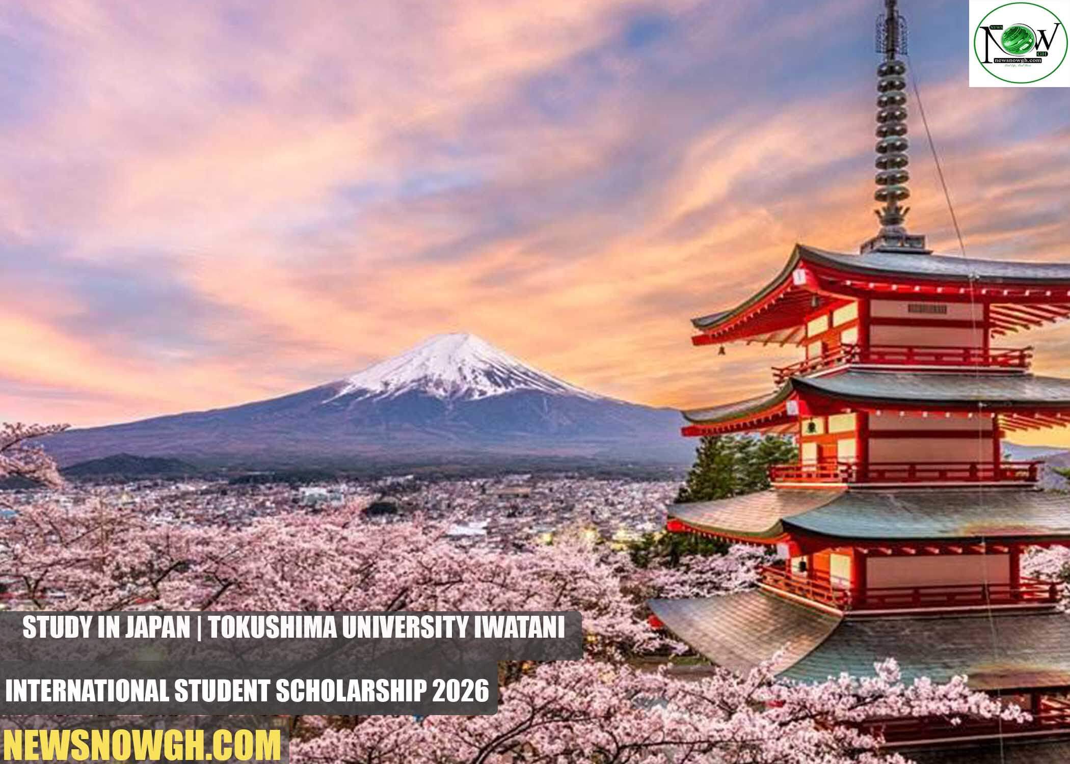 Tokushima University Iwatani International Student Scholarship