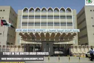 UAEU Undergraduate Scholarships