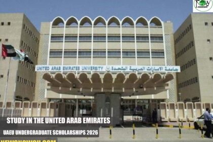 UAEU Undergraduate Scholarships