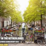 UM Global Studies Scholarship