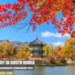 UN Veterans Descendants Scholarship