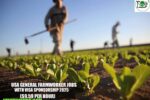 USA General Farmworker Jobs