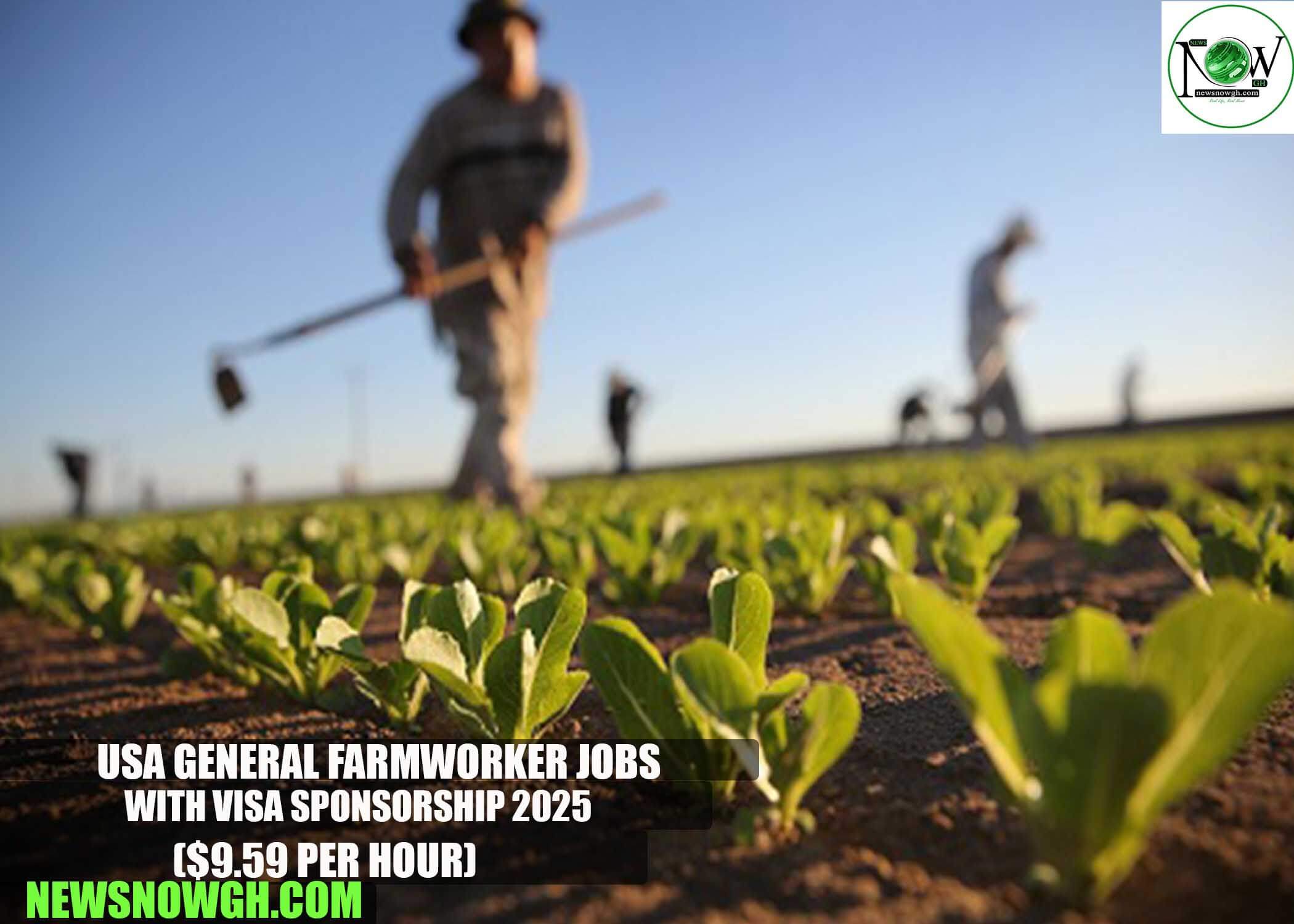 USA General Farmworker Jobs