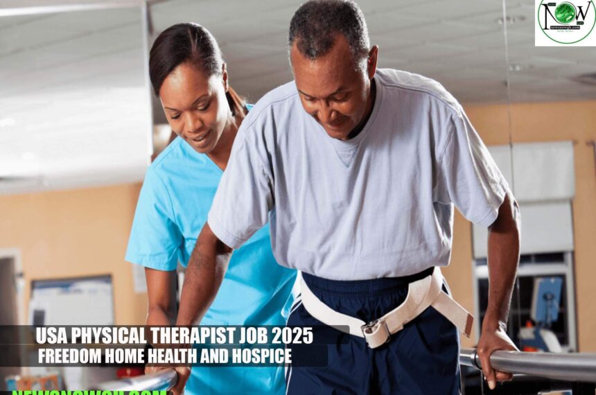 USA Physical Therapist Job 2025